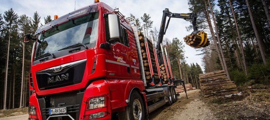 Camioane MAN destinate industriei forestiere, la KWF-Expo 2016