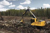 Tigercat lansează excavatorul forestier de procesare model 850